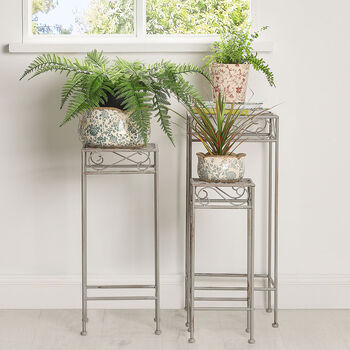 Set Of Three Vintage Iron Plant Stands, 4 of 8