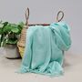 Plain Lightweight Tassel Scarf In Mint Green, thumbnail 1 of 3