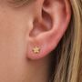 Gold Plated Sterling Silver Textured Star Stud Earrings, thumbnail 4 of 6