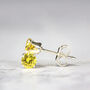 Yellow Crystal Stud Earrings In Gold Or Silver, thumbnail 6 of 10