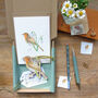 Christmas Robin Decoration And Card Letter Box Gift, thumbnail 3 of 6