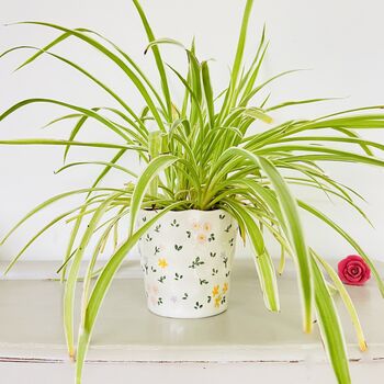 Floral Ceramic Plant Pot, 2 of 3