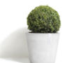 Ecopots Amsterdam Plant Pot Made From Recycled Plastic, thumbnail 7 of 7