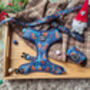 Gingerbread Biscuit Dog Dog Harness, thumbnail 6 of 12