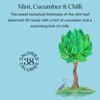 Mint, Cucumber And Chilli 12x250ml, 2 of 7