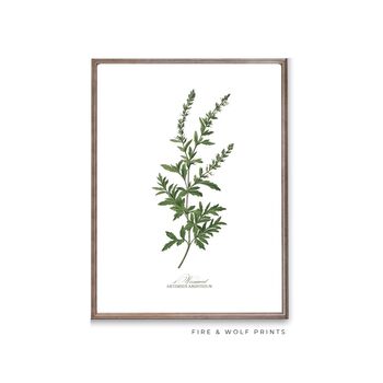 Set Of Six Vintage Botanical Art Prints | A4 Lithograph Style With Latin Names | Wall Art For Home Interiors, 10 of 12