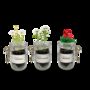 Personalised Indoor Flower Jar Garden Kit, thumbnail 2 of 12