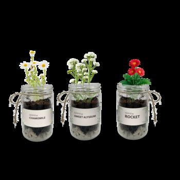 Personalised Indoor Flower Jar Garden Kit, 2 of 12