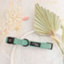 Sage Green Cord Dog Collar, thumbnail 1 of 5