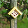Mini Mini Bee House, thumbnail 6 of 7