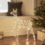 Duchy Fawn Dual Colour Micro LED Light Up Reindeer, thumbnail 5 of 6