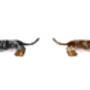 Double Cheeky Sausage Dog Butt Illustration Print, thumbnail 2 of 3