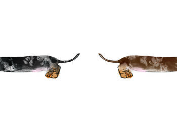 Double Cheeky Sausage Dog Butt Illustration Print, 2 of 3