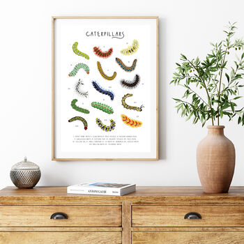 Caterpillars Print, 2 of 3