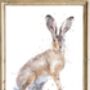 Trio Of Fine Art Hare Prints, thumbnail 4 of 5