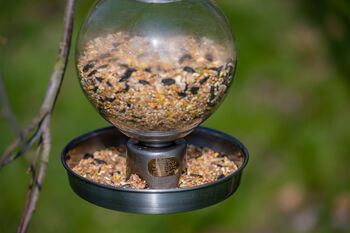 Douglas Sterling Bird Feeder, 3 of 4