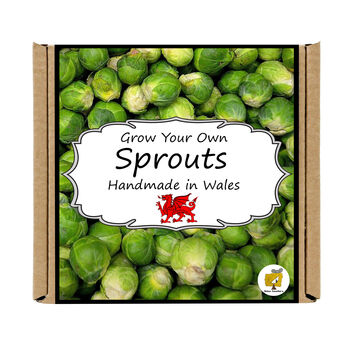 Gardening Gift. Sprouts Veg Growing Kit, 4 of 4