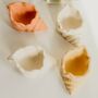 Mathilde Shell Conch Jewellery Handmade Trinket Dish, thumbnail 2 of 9