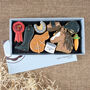 Deluxe Horse Riding Biscuit Box, thumbnail 1 of 2