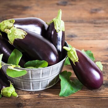 Vegetable Plants Aubergine 'Moneymaker' Plug Pack, 5 of 12