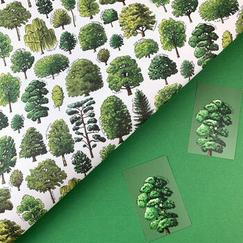 Trees Of Britain Wrapping Paper Set, 2 of 10