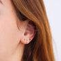Illusion Hoop Earrings In Rose Gold Fill, thumbnail 6 of 7