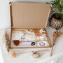 Peaches And Cream Letterbox Dried Flower Arranging Kit, thumbnail 5 of 5