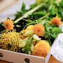 ‘The Joy Giver’ Fresh Flower Letterbox Gift Supporting Dog's Trust, thumbnail 2 of 4