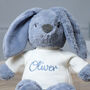 Personalised Max And Boo Large Bunny Soft Toy In Blue, Green And Chestnut, thumbnail 3 of 11