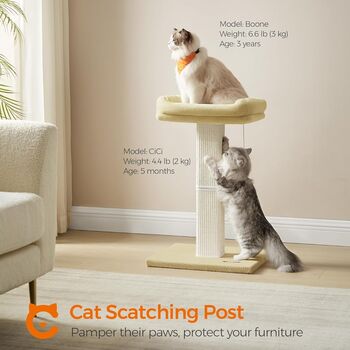 Cat Scratching Post With Plush Perch And Sisal Pole, 2 of 10
