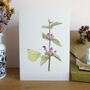 Red Dead Nettle And Butterfly Greeting's Card, thumbnail 1 of 4