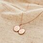 Personalised Children’s Rose Gold Locket Necklace, thumbnail 1 of 4