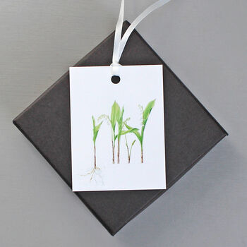 Floral Gift Tags With Lily Of The Valley Illustrations, 3 of 5