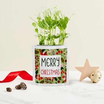 Personalised 'Merry Christmas' Card And Seed Gift, 8 of 8