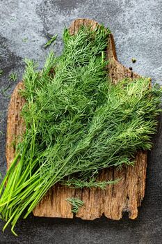 Herb Plants Dill In 9cm Pots, 3 of 6