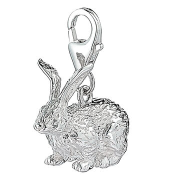 Sterling Silver Rabbit Charm, 5 of 10