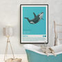 Sharks And Orca Wall Art Prints Set Of Seven, thumbnail 7 of 8