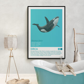 Sharks And Orca Wall Art Prints Set Of Seven, 7 of 8