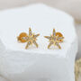 Sterling Silver Or 18ct Gold Cz Star Stud Earrings, thumbnail 1 of 4