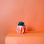 Origami Self Watering Eco Plant Pot: 11cm | Coral, thumbnail 2 of 7