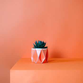 Origami Self Watering Eco Plant Pot: 11cm | Coral, 2 of 7