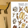 Animal Tracks Of Britain Watercolour Postcard, thumbnail 3 of 11
