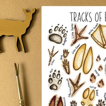 Animal Tracks Of Britain Watercolour Postcard, 3 of 11