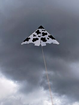 Handcrafted Delta Kite Wild Things, 4 of 6