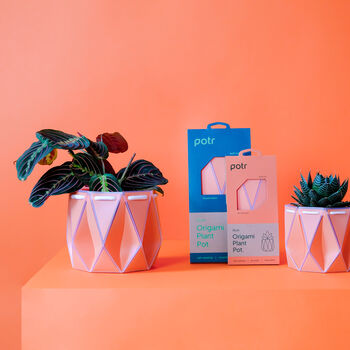 Two Origami Self Watering Eco Plant Pots, 11 of 12