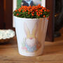 Personalised Easter Gonk Plant Pot With Seeds, thumbnail 2 of 6