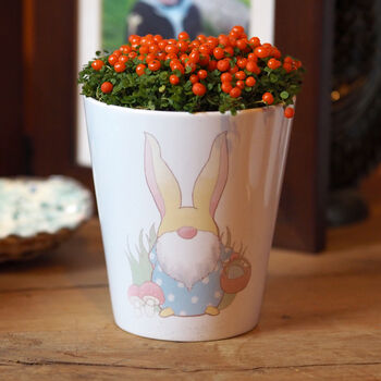 Personalised Easter Gonk Plant Pot With Seeds, 2 of 6