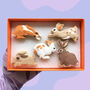 Jumping Bunnies Easter Iced Biscuits, thumbnail 1 of 4