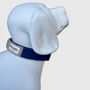 Navy Wool Dog Collar, thumbnail 2 of 4