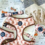 Vintage Bears Gingham Dog Harness With Optional Set, thumbnail 9 of 9